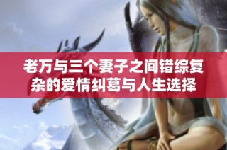 老万与三个妻子之间错综复杂的爱情纠葛与人生选择