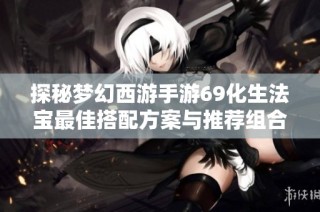探秘梦幻西游手游69化生法宝最佳搭配方案与推荐组合