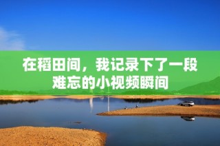 在稻田间，我记录下了一段难忘的小视频瞬间