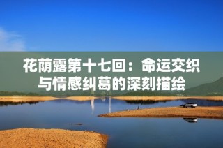花荫露第十七回：命运交织与情感纠葛的深刻描绘