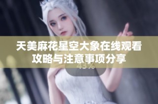 天美麻花星空大象在线观看攻略与注意事项分享
