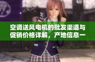 空调送风电机的批发渠道与促销价格详解，产地信息一览