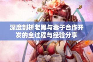 深度剖析老黑与妻子合作开发的全过程与经验分享