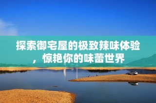 探索御宅屋的极致辣味体验，惊艳你的味蕾世界