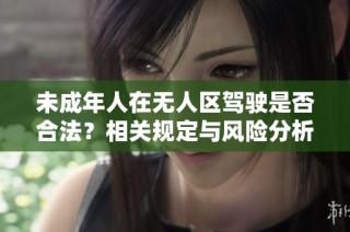 未成年人在无人区驾驶是否合法？相关规定与风险分析