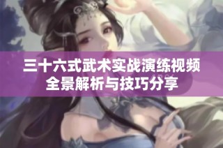 三十六式武术实战演练视频全景解析与技巧分享