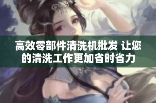 高效零部件清洗机批发 让您的清洗工作更加省时省力