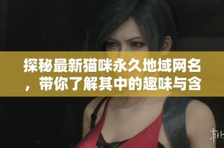 探秘最新猫咪永久地域网名，带你了解其中的趣味与含义