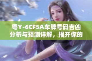 粤Y-6CF5A车牌号码吉凶分析与预测详解，揭开你的命运之谜