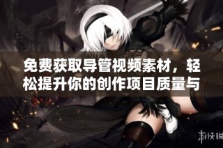 免费获取导管视频素材，轻松提升你的创作项目质量与表现力