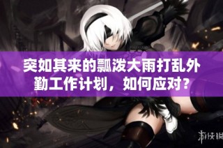 突如其来的瓢泼大雨打乱外勤工作计划，如何应对？
