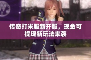 传奇打米服新开服，现金可提现新玩法来袭