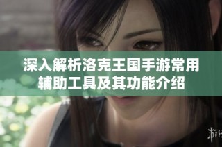 深入解析洛克王国手游常用辅助工具及其功能介绍