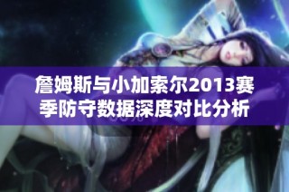 詹姆斯与小加索尔2013赛季防守数据深度对比分析
