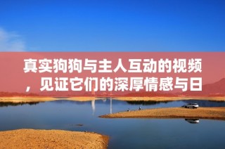 真实狗狗与主人互动的视频，见证它们的深厚情感与日常趣事