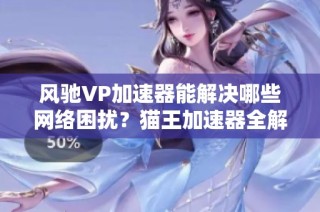 风驰VP加速器能解决哪些网络困扰？猫王加速器全解读