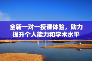 全新一对一授课体验，助力提升个人能力和学术水平