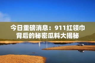 今日重磅消息：911红领巾背后的秘密瓜料大揭秘