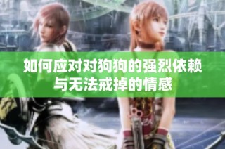 如何应对对狗狗的强烈依赖与无法戒掉的情感