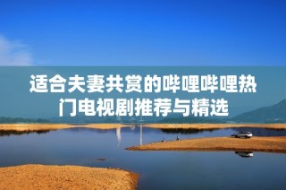 适合夫妻共赏的哔哩哔哩热门电视剧推荐与精选