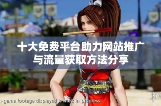 十大免费平台助力网站推广与流量获取方法分享