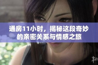 通房11小时，揭秘这段奇妙的亲密关系与情感之旅