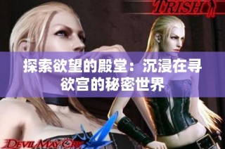 探索欲望的殿堂：沉浸在寻欲宫的秘密世界