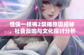 怪侠一枝梅2禁播原因揭秘，社会反响与文化探讨分析