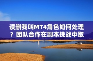 误删我叫MT4角色如何处理？团队合作在副本挑战中取得胜利的策略分享