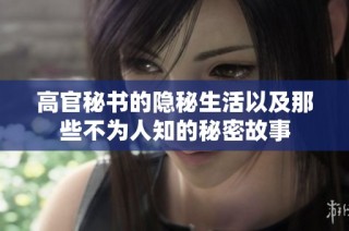 高官秘书的隐秘生活以及那些不为人知的秘密故事