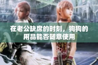 在老公缺席的时刻，狗狗的用品能否随意使用