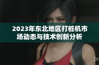 2023年东北地区打桩机市场动态与技术创新分析