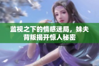 监视之下的情感迷局，妹夫背叛揭开惊人秘密
