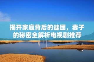 揭开家庭背后的谜团，妻子的秘密全解析电视剧推荐