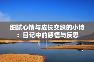 细腻心情与成长交织的小诗：日记中的感悟与反思