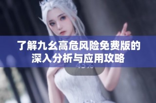 了解九幺高危风险免费版的深入分析与应用攻略