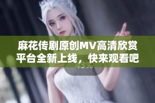 麻花传剧原创MV高清欣赏平台全新上线，快来观看吧