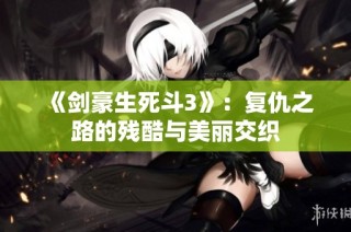《剑豪生死斗3》：复仇之路的残酷与美丽交织