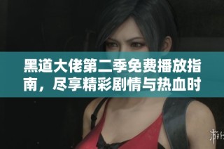 黑道大佬第二季免费播放指南，尽享精彩剧情与热血时刻
