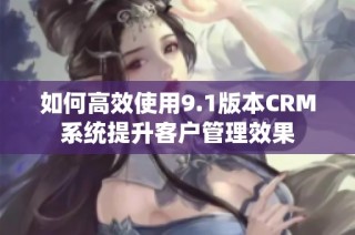 如何高效使用9.1版本CRM系统提升客户管理效果