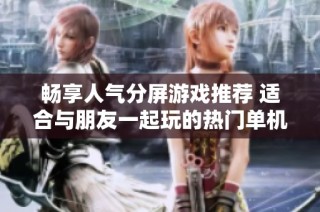 畅享人气分屏游戏推荐 适合与朋友一起玩的热门单机游戏合集