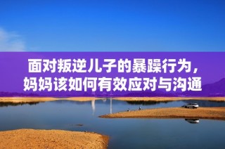 面对叛逆儿子的暴躁行为，妈妈该如何有效应对与沟通