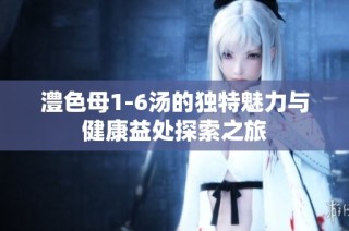 澧色母1-6汤的独特魅力与健康益处探索之旅