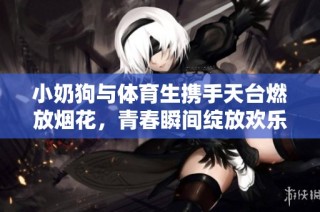 小奶狗与体育生携手天台燃放烟花，青春瞬间绽放欢乐