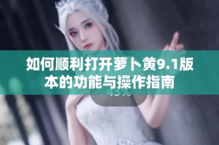 如何顺利打开萝卜黄9.1版本的功能与操作指南