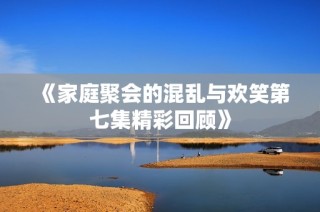 《家庭聚会的混乱与欢笑第七集精彩回顾》