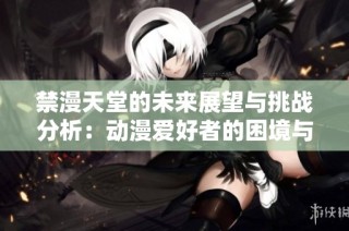 禁漫天堂的未来展望与挑战分析：动漫爱好者的困境与希望