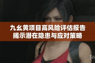 九幺黄项目高风险评估报告揭示潜在隐患与应对策略