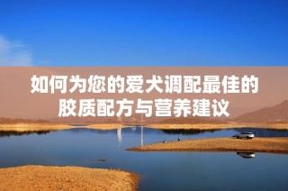 如何为您的爱犬调配最佳的胶质配方与营养建议