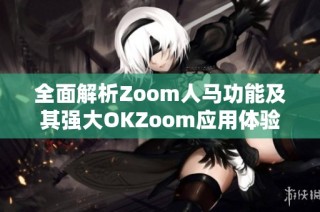 全面解析Zoom人马功能及其强大OKZoom应用体验